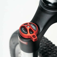 Darwin V 26-Inch Mountain Bike