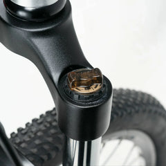 Darwin V 26-Inch Mountain Bike