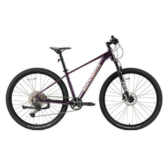 MT400-29" Mountain Bike